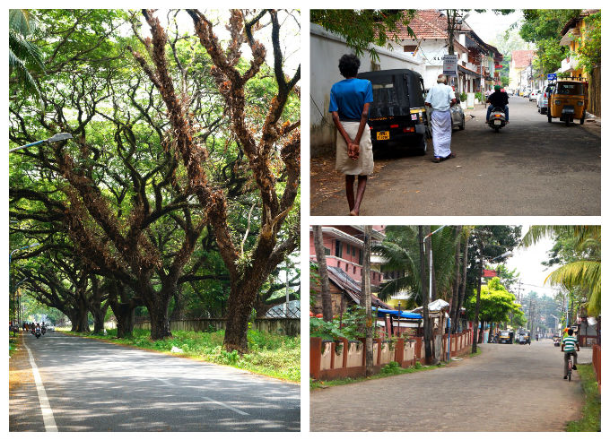 Kerala is humid colonial cities, intricate networks of canals, breezy hill stations, and every imaginable shade of green.