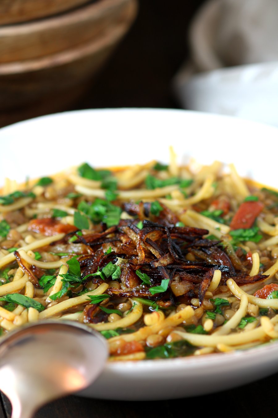 Lentils, noodles, carmelized onions, tomatoes, and a spiced broth come together to make this filling Lentil and Spinach Rashteh.