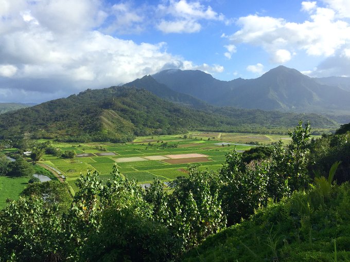 Vegan Traveler: Kauai, Hawaii