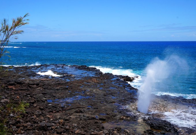 Vegan Traveler: Kauai, Hawaii