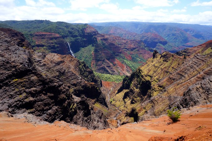 Vegan Traveler: Kauai, Hawaii